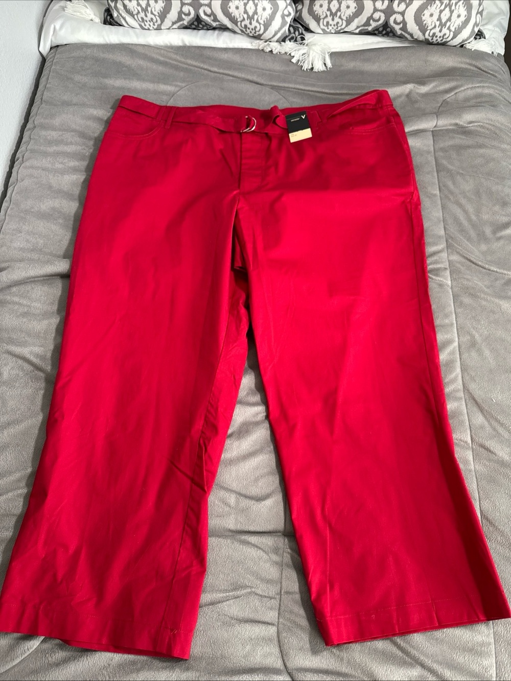 NWT Layne Bryant women’s Venezia Bright Red Cropped Pants size 22